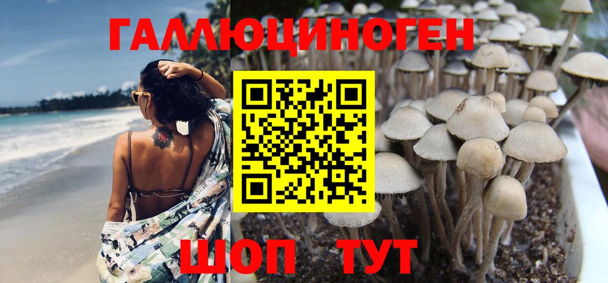 Галлюциногенные грибы Psilocybine cubensis  даркнет сайт  Протвино  Вход с VPN 